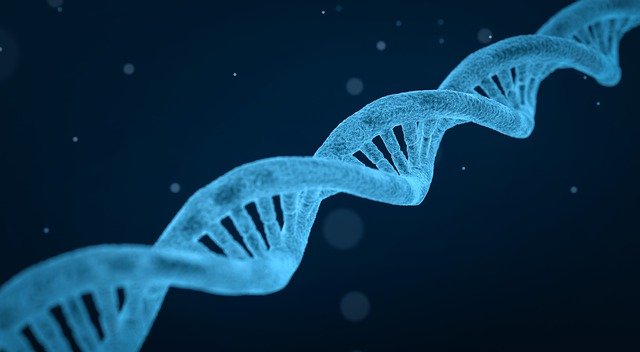 Med en personlig DNA-analyse får du indblik i, hvor du skal sætte ind for at forbedre dit helbred